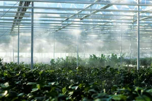 Indoor Greenhouse Overheating: Managing Fan Airflow and Heat in Plant Cabinets featured article