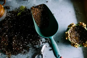 Kitchen waste including eggshells and coffee grounds transformed into natural fertilizer