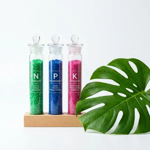 Plant Macronutrients Explained: Functions, Deficiency Symptoms & NPK Guide - Plant Care Guide