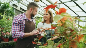 Professional horticulturist using a soil moisture meter to inspect a large tropical indoor plant collection
