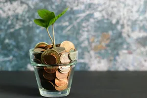 Itemized plant care service invoice placed next to a lush indoor tropical plant collection on a table
