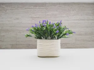 Infrared thermometer showing 42°C on a black nursery pot in a sunny apartment, beside a wilting plant