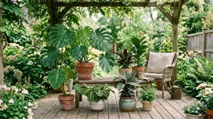 Houseplants being gradually acclimated outdoors for spring
