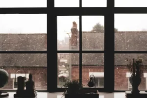 Monstera plant positioned close to a bright frosted window in winter — large glossy leaves angled toward grey overcast daylight with snow visible on the outside sill